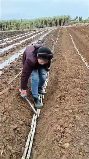 The Rhythm of Farming is Satisfying 🌾