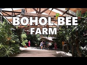 What's the Real Reason Behind BOHOL BEE FARM's Success?