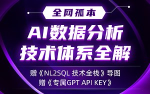 AI数据分析技术体系全解与NL2SQL | GPT | API调用指南 | AI数据分析极速入门教程