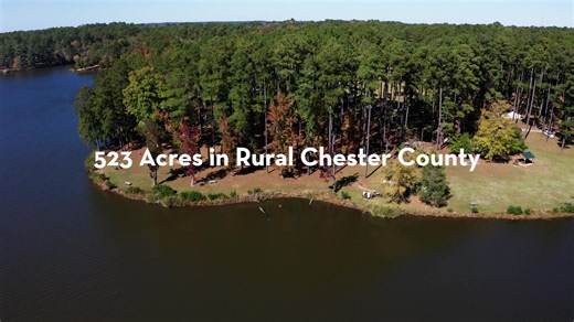 Explore Chester State Park! With a 160-acre lake, scenic trails, camping, disc golf, and more, it’s the perfect spot for outdoor adventures IN Chester County, South Carolina. Visit our website at 🔗 https://inchestercountysc.com #InChesterCountySC #ExploreChesterCounty #SCStateParks | South Carolina State Parks