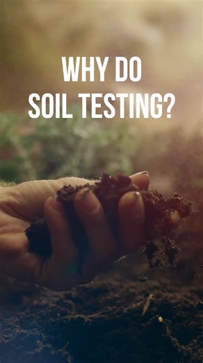 Most lawn problems in Middle Tennessee start in the soil. A quick soil test tells us what your lawn is missing so we can give it exactly what it needs to grow thicker and greener. Soil testing is complimentary for all customers. Read the full breakdown on our blog. #67 #lawncarelife #lawncare #lawncaretennessee #lawnfertilization #lawntips #soiltesting | Pure Turf, LLC | Facebook
