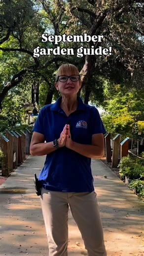 3.1K views · 184 reactions | Fall is just around the corner!  Did...