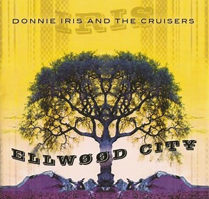 Donnie Iris And The Cruisers - Ellwood City