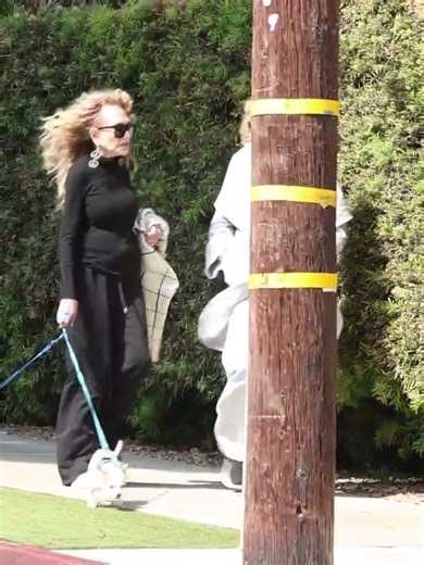 Dyan Cannon 89, Seen Walking Dogs With Friend