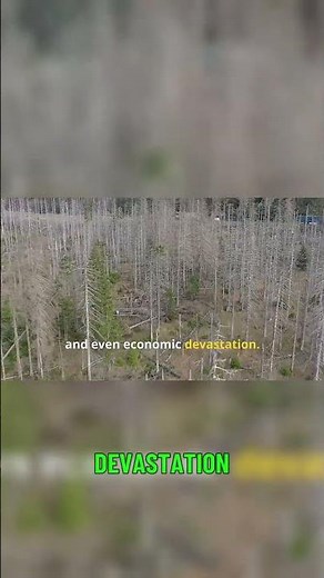 Impact of Invasive Species on Our Ecosystems A Wake Up Call 🚨🌱