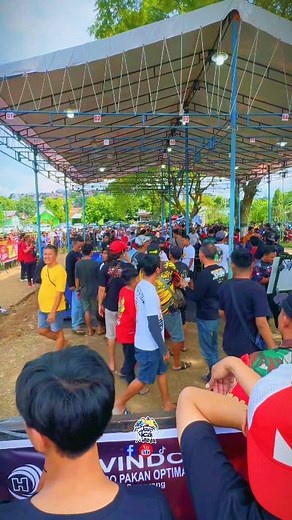 terjerat rayuan janda 🤣😂😁🙏 . #reels | JaVa Kicau Mania