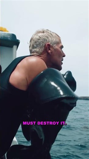 The Dark Forest Theory: Why Aliens Stay Hidden?