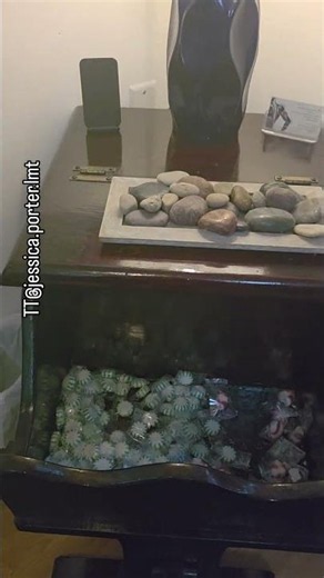 A quick tour of my massage room. #massage #career #roomtour