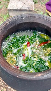 1.4M views · 10K reactions | Spinach Kulambu Recipe | Side Dish Recipes | Facebook