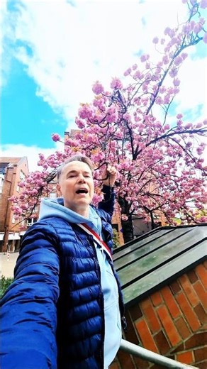 🕯📣☝️REDE AN DIE MENSCHHEIT🌍🇩🇪de.Charlie Chaplin🎞"Der große Diktator"(1940)🤔⭐️#markbellinghausraubal🙏