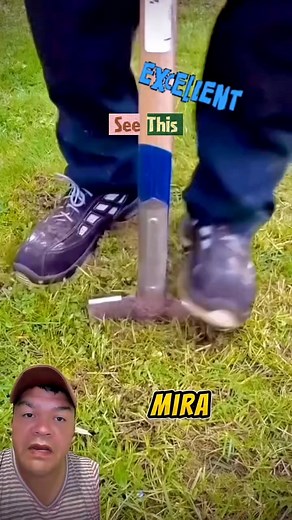 Excelentísima 1d€4 par4 s€mbr4r una pl4nt4 c0n f4c1l1d4d!… 🤗 | Johnairo Rengifo