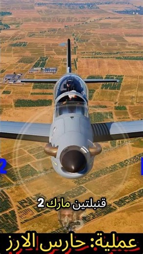 عملية: حارس الأرز #rafale #airforce #warthunder #dcs #مصر #محاكي_الطيران #طيران #لبنان