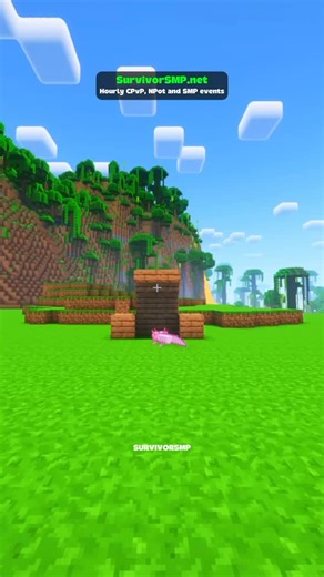 18 reactions | #minecraft | Survivorsmp.net Minecraft Server | Facebook
