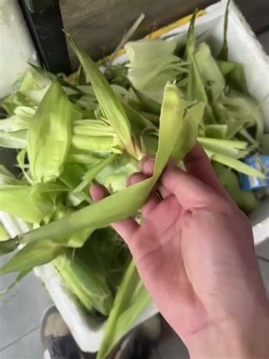 htpulpandpaper_official on TikTok