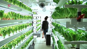 38K views · 1.4K reactions | [Money Monster] Farmtech startupthat implements #IoT technologies, n.thing | Arirang World | Facebook