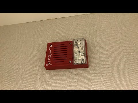 Fire Alarm Test #25