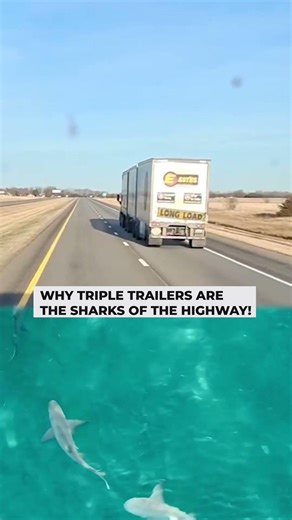 TRIPLE TRAILER SHARK ATTACK! 🦈🚛💨