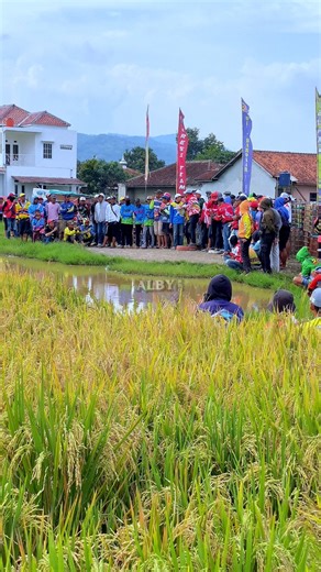 Sprint 🔥🔥🔥 | ALBY Pro