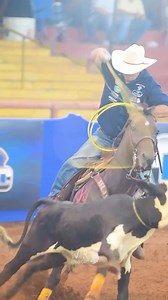 Team Roping Brasil on Reels