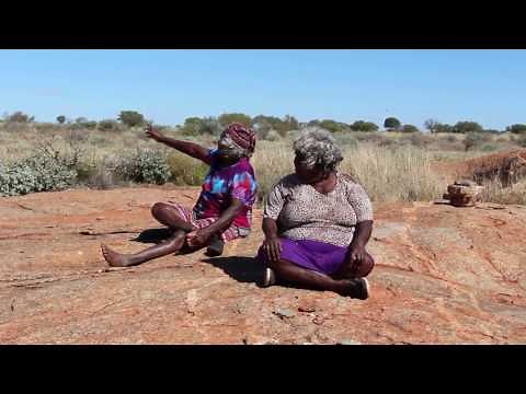 Measuring the Impact of Feral Camels on Australia's Martu Desert