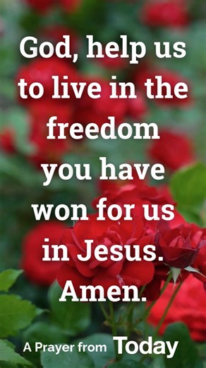 God, help us to live in the freedom you have won for us in Jesus. Amen. 🙏 #pray #prayer #devotions #dailydevotional | Today Daily Devotion