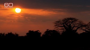 8.8K views · 407 reactions | When American entrepreneur Greg Carr first visited Mozambique’s Gorongosa National Park in 2004, he felt lucky if he could spot a few animals. Now, he describes the park as “an ocean of wildlife.” https://cbsn.ws/3ivNYAl | 60 Minutes | Facebook