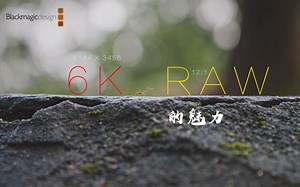 【BMPCC 6K PRO】雨后的"微"观世界竟然如此的忙碌且美丽！4K/50P