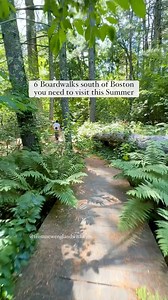 If you’re looking for the perfect ice cream spot to visit after each of these boardwalks, I’ve got you covered! 📍Daniel Webster Wildlife Sanctuary, Marshfield 🐶 no dogs allowed 🍦B’s Ice Cream @bshomemadeic 57a Snow Rd, Marshfield, MA 📍Sandwich Boardwalk, Sandwich 🐶 no dogs allowed May15-Sept 15 🍦Shipwreck Ice Cream @shipwreck_icecream 2 Freezer Rd, Sandwich, MA 📍Norwell Pathway, Norwell 🐶 leashed dogs welcome 🍦Bay State Creamery @baystatecreamery 2055 Washington St Suite 202, Hanover, M