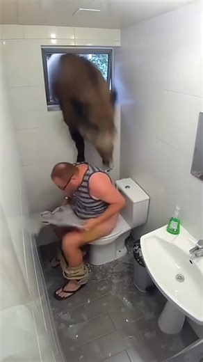 Stjepan Covic on Instagram: "how do I leave this bathroom?🚽 Creating videos shouldn’t mean juggling five different tools. With @quickvidapp , you can write, edit, voice, and generate short-form videos all in one place — Reels, TikToks, Shorts, whatever you need. From AI avatars to UGC-style clips, product demos, and Reddit stories — QuickVid helps you turn any idea into a polished video in minutes. One platform. Zero stress. Infinite content."