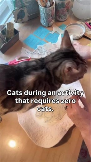 Taking time for snuggles