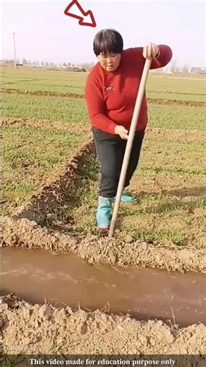 To prevent water from farmers' fields from flowing into other people's land |#shortsvideo