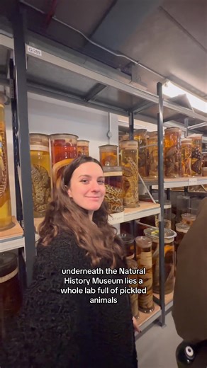 Exploring the Secrets of Natural History Museum London