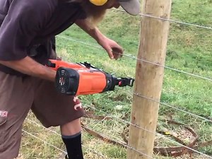 27K views · 33 reactions | If you're looking for ways to increase...