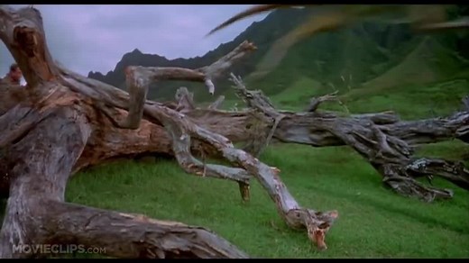 jurassic park （1993） - they re flocking this way scene （6_10） movieclips
