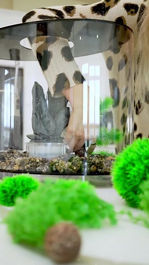 biOrb Americas Official Page on Instagram: "The LOOP 30 Aquarium adds the perfect touch to your home or office. The unique, elliptical shape and 360-degree view of your underwater world makes it ideal for tabletop display 😍 ㅤ ㅤ #biorb #aquarium #aquariumgoals #aquariuminsp #aquariumdesign"