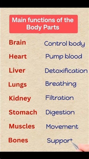Main Functions of Body Parts | Learn Human Body Parts & Their Functions