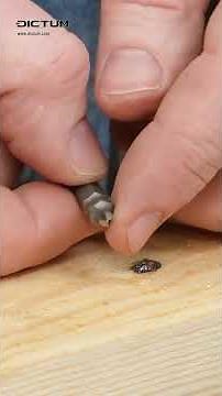 Removing defective screws despite a damaged slot #dictum