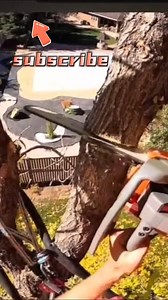 PROYAMA 26cc chainsaw at work in the trees. Light. Controlled. Reliable. #proyama #chainsaw | Proyama Tools Inc