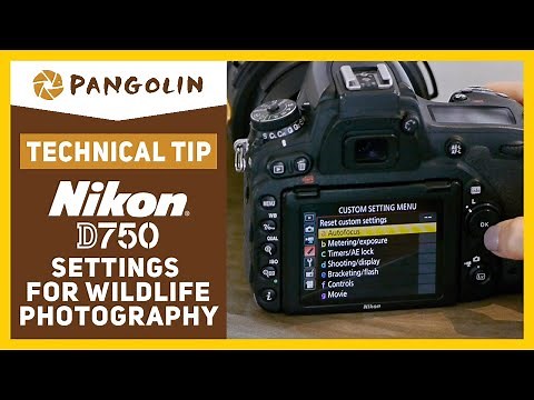 Nikon D750. How to set-up for Wildlife and Nature Photography. Recommended settings and tips.