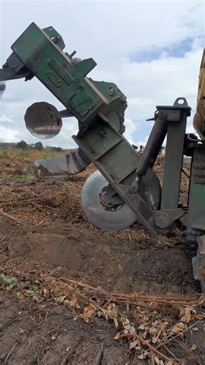The Sound of Steel Tracks Preparing the Land for Forest Plantations!