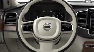 Steering wheel controls and horn