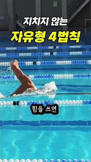 힘 안 들이고 수영하는 방법? 자유형 4가지 절대 법칙!