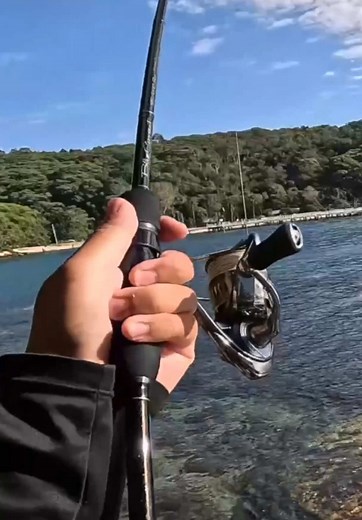 Epic Sydney Harbour Pelagic Fishing Experience