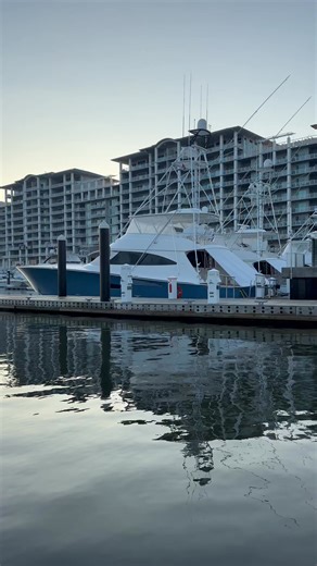 Bama Saltwater on Reels