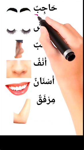58K views · 1.1K reactions | Parts of body vocabulary for beginners | Easy Arabic & English | Facebook