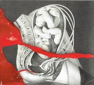 IAM{X} - The Unified Field