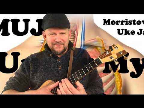 I've Got You Under My Skin - Cole Porter, Frank Sinatra (ukulele tutorial by MUJ)