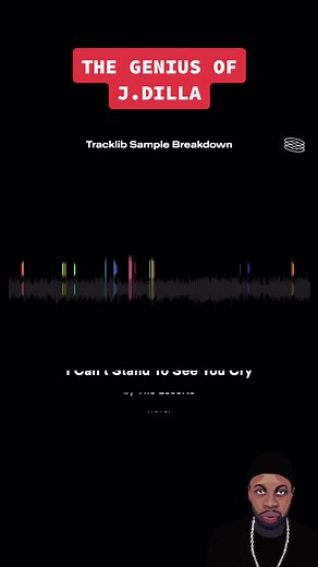 Exploring J Dilla's Sample Breakdowns in Hip Hop Production