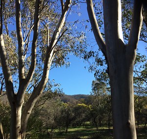 Remarkable Southern Flinders