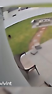 725K views · 10K reactions | True Friendship in Action – His Best Friend Comes First 凉❤️. . . . . #funny #studio #fandub #film #producer #audio #madlipz #voiceactors #n #tv #narrator #locucion #voices #anime #voiceoverwork #actress #memes #video #elearning #locutora #tiktok #doblaje #instagram #o #instagood #commercial #model #viral #singersongwriter | Dream World | Facebook